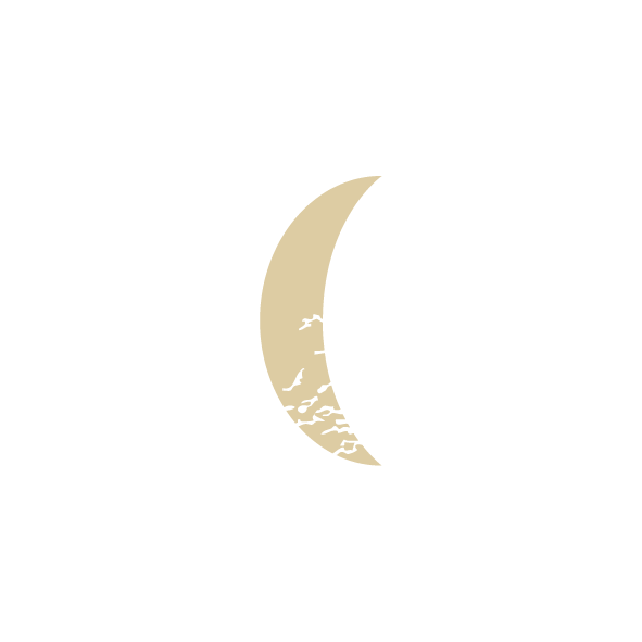 Wild Human Moon